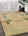 Machine Washable Abstract Metallic Gold Rug in a Family Room, wshabs1146