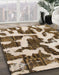 Machine Washable Abstract Brown Rug in a Family Room, wshabs1150