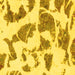 Square Abstract Yellow Modern Rug, abs1152yw