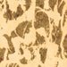 Square Machine Washable Abstract Brown Modern Rug, wshabs1152brn