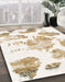 Machine Washable Abstract Off White Beige Rug in a Family Room, wshabs1159