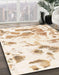 Machine Washable Abstract Blanched Almond Beige Rug in a Family Room, wshabs1160