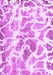 Machine Washable Abstract Purple Modern Area Rugs, wshabs1161pur
