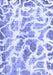 Machine Washable Abstract Blue Modern Rug, wshabs1161blu