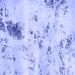 Square Machine Washable Solid Blue Modern Rug, wshabs1162blu