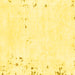 Square Machine Washable Solid Yellow Modern Rug, wshabs1163yw