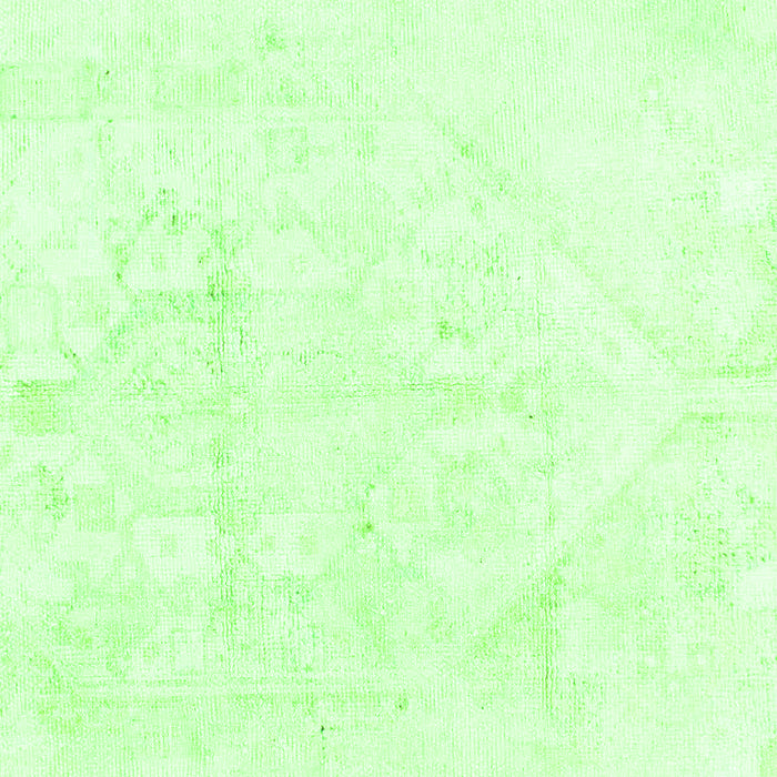 Solid Green Modern Rug, abs1166grn