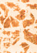 Machine Washable Abstract Orange Modern Area Rugs, wshabs1167org