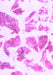 Machine Washable Abstract Purple Modern Area Rugs, wshabs1167pur