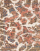 Machine Washable Abstract Pastel Orange Rug, wshabs1173