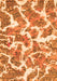 Abstract Orange Modern Rug, abs1173org