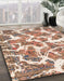 Machine Washable Abstract Pastel Orange Rug in a Family Room, wshabs1173