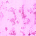 Square Machine Washable Oriental Pink Modern Rug, wshabs1179pnk