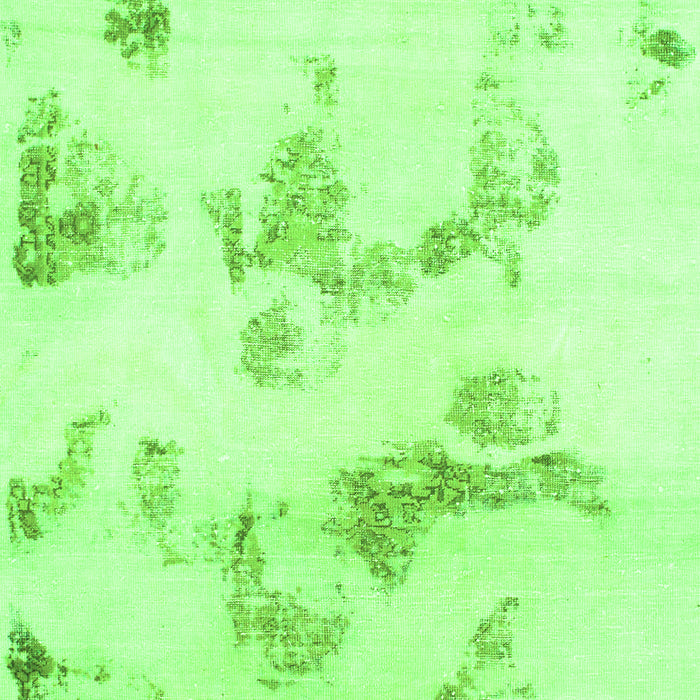 Oriental Green Modern Rug, abs1179grn