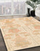 Machine Washable Abstract Khaki Gold Rug in a Family Room, wshabs1183
