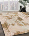 Machine Washable Abstract Desert Sand Beige Rug in a Family Room, wshabs1187