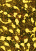 Machine Washable Abstract Yellow Modern Rug, wshabs1188yw