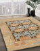 Abstract Brown Oriental Rug in Family Room, abs1196