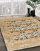 Abstract Brown Oriental Rug in Family Room, abs1198