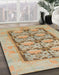 Machine Washable Abstract Sand Brown Rug in a Family Room, wshabs1200