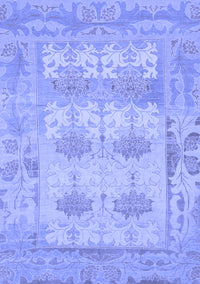 Oriental Blue Traditional Rug, abs1201blu