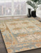 Machine Washable Abstract Brown Rug in a Family Room, wshabs1201