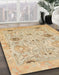 Abstract Gold Oriental Rug in Family Room, abs1202