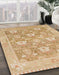 Abstract Orange Oriental Rug in Family Room, abs1205