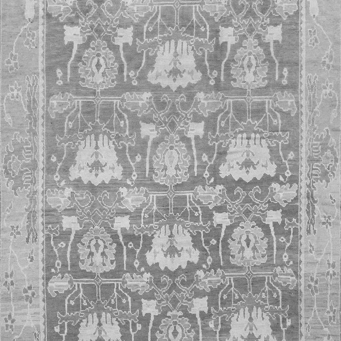 Machine Washable Oriental Gray Traditional Rug, wshabs1205gry