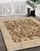 Machine Washable Abstract Brown Sugar Brown Rug in a Family Room, wshabs1209