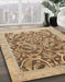 Abstract Light Brown Modern Rug in Family Room, abs1212