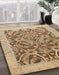 Machine Washable Abstract Light Brown Rug in a Family Room, wshabs1212