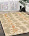 Abstract Brown Gold Modern Rug in Family Room, abs1216