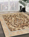 Machine Washable Abstract Brown Sugar Brown Rug in a Family Room, wshabs1217