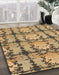 Machine Washable Abstract Metallic Gold Rug in a Family Room, wshabs1229