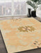 Machine Washable Abstract Orange Rug in a Family Room, wshabs1235