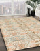 Machine Washable Abstract Brown Sugar Brown Rug in a Family Room, wshabs1237