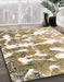 Machine Washable Abstract Desert Sand Beige Rug in a Family Room, wshabs1241