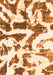 Machine Washable Abstract Orange Modern Area Rugs, wshabs1242org