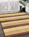 Machine Washable Abstract Red Rug in a Family Room, wshabs127