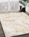 Machine Washable Abstract White Chocolate Beige Rug in a Family Room, wshabs1282