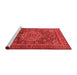 Modern Red Washable Rugs