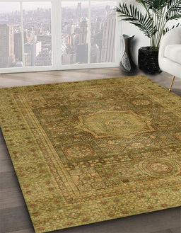 Machine Washable Abstract Caramel Brown Rug in a Family Room, wshabs1322