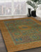 Machine Washable Abstract Saddle Brown Rug in a Family Room, wshabs1329