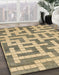 Machine Washable Abstract Dark Moccasin Green Rug in a Family Room, wshabs1343