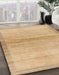 Machine Washable Abstract Bronze Brown Rug in a Family Room, wshabs1352