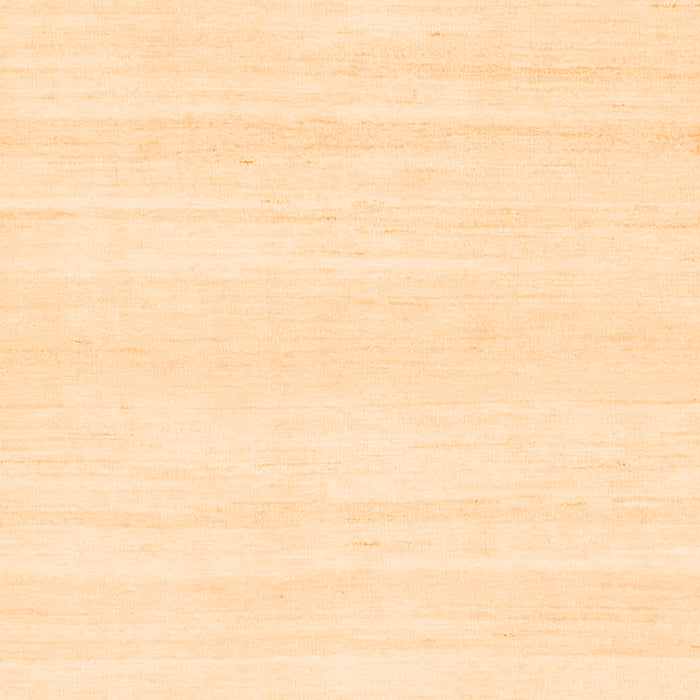 Machine Washable Solid Orange Modern Area Rugs, wshabs1354org