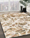 Machine Washable Abstract Gold Rug in a Family Room, wshabs1367