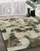 Machine Washable Abstract Tan Brown Rug in a Family Room, wshabs1368