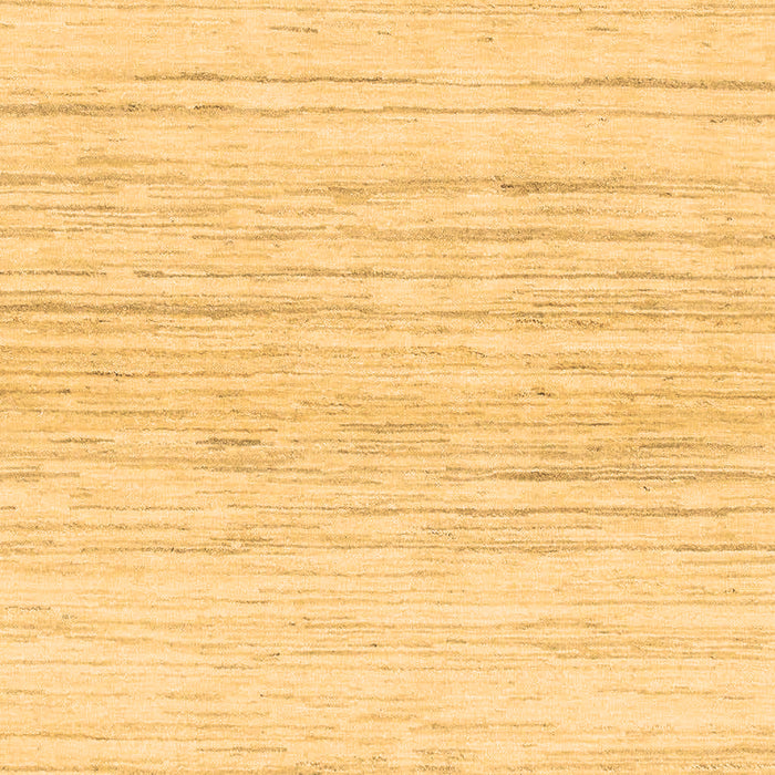 Machine Washable Solid Brown Modern Rug, wshabs1390brn